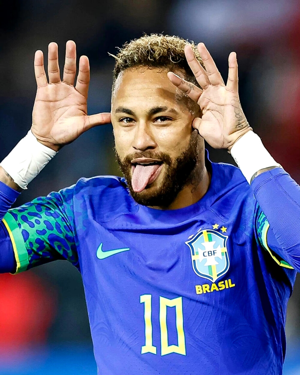 球种配比 球种配比